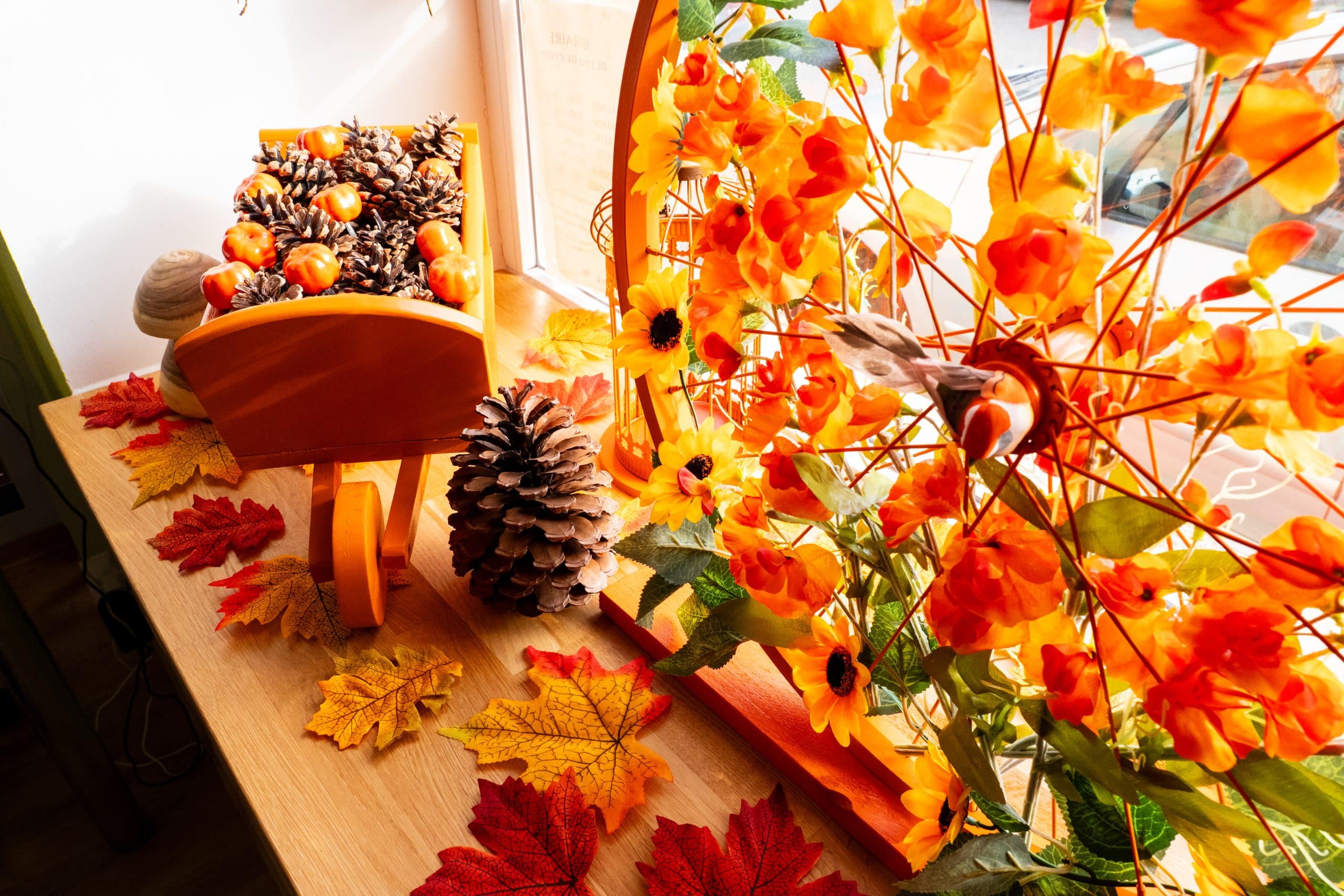 Décoration vitrine pro