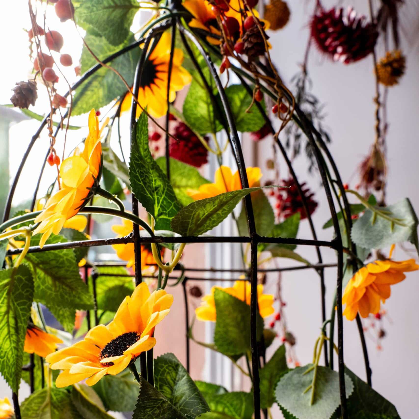 Décoration accueil et vitrine pro